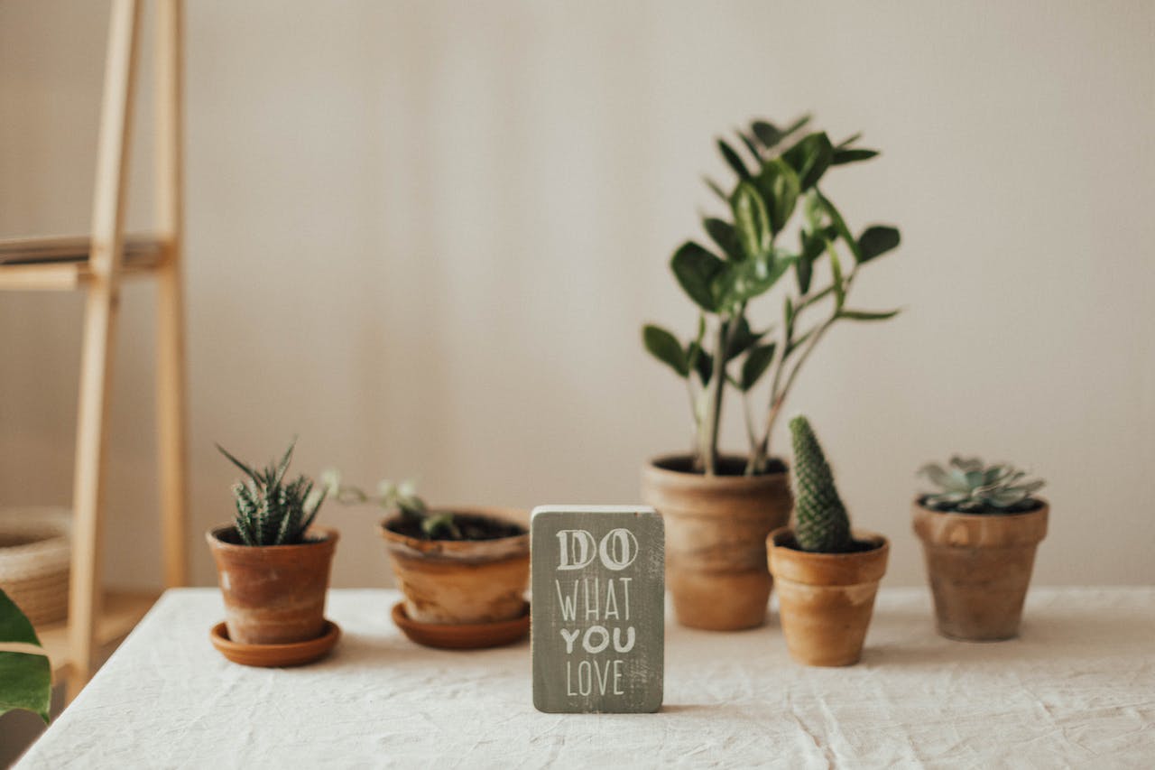sign saying "do what you love" with potted plants in the background